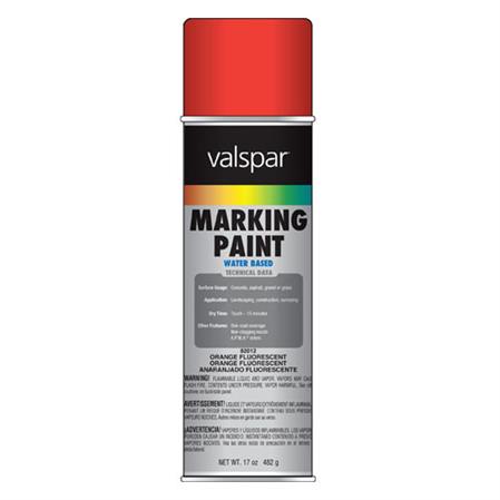  Fluorescent Orange Paint