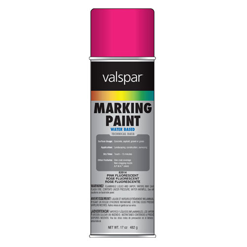 Fluorescent Pink Paint