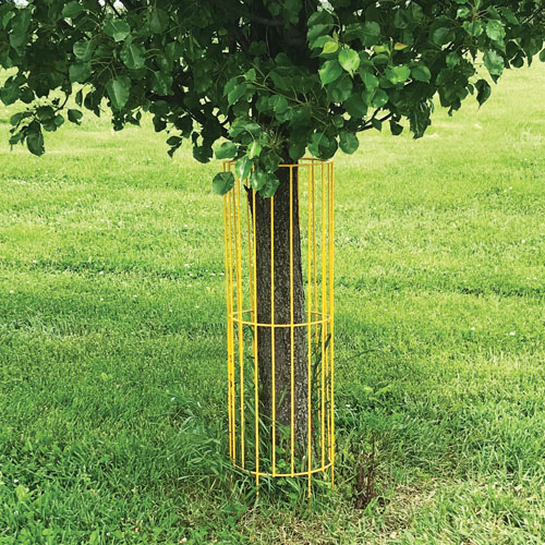 Tree Guard - On Tree