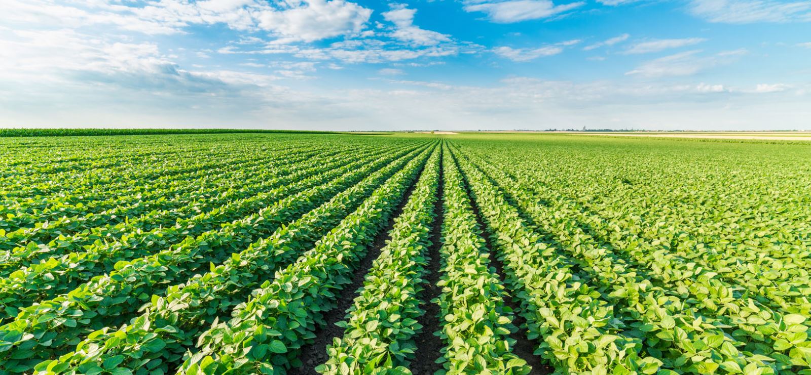 Agri Drain America S Most Complete Manufacturer