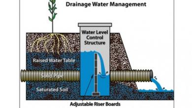 Control Water Levels and Nitrogen with Tile Systems